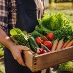 Organic food positives for health and wellbeing