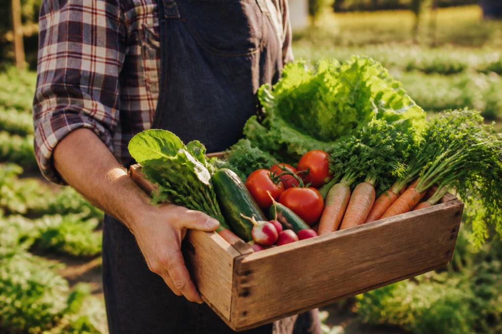 Organic food positives for health and wellbeing